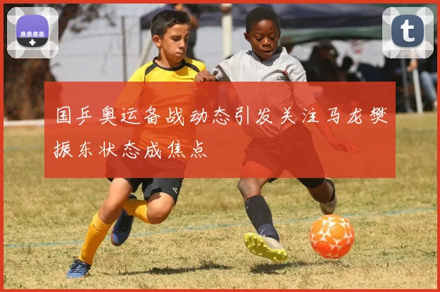 国乒奥运备战动态引发关注马龙樊振东状态成焦点