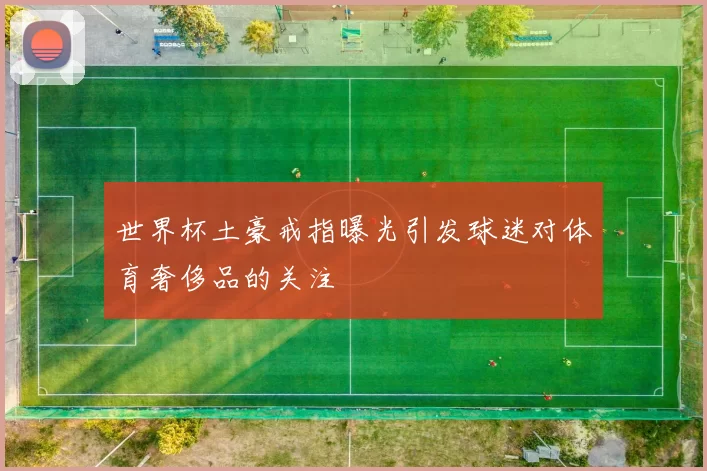 世界杯土豪戒指曝光引发球迷对体育奢侈品的关注