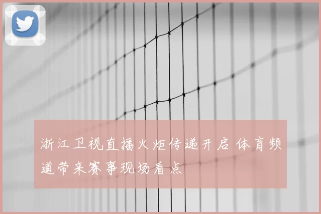 浙江卫视直播火炬传递开启 体育频道带来赛事现场看点